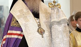 Управляющий Алатырской епархией возглавил Престольные торжества в храме Вознесения Господня села Старые Айбеси