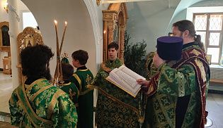Епископ Алатырский и Порецкий Феодосий в День Святого Духа совершил Божественную Литургию в Киево-Николаевском Новодевичьем монастыре города Алатырь
