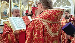 Епископ Алатырский и Порецкий Феодосий совершил Божественную Литургию в храме Рождества Христова села Никулино