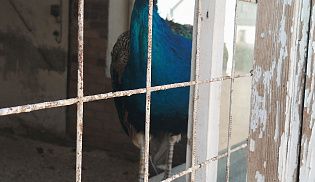 Главный федеральный инспектор по Чувашской Республике посетил Свято-Троицкий мужской монастырь в Алатыре и Рождественский скит. 