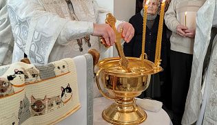 Епископ Алатырский и Порецкий Феодосий в Неделю 32-ю по Пятидесятнице и навечерие Богоявления совершил Божественную Литургию в кафедральном храме в честь Иверской иконы Божией Матери города Алатырь