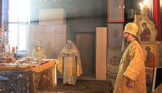Божественная Литургия в Покровско-Татианинском соборе г. Чебоксары