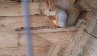 Пасхальная экскурсия в Свято-Троицком монастырь